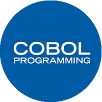 Formation Cobol By Sintegra Institute